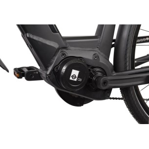 Rower elektryczny MBM E809D SINOPE