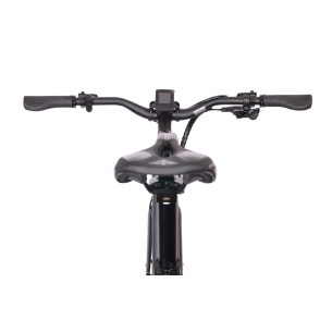 Rower elektryczny Bottecchia BE84 MERAK