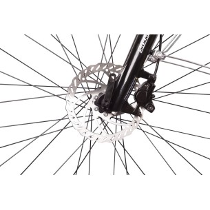 Rower elektryczny Bottecchia BE19 E-CITY EVO LADY