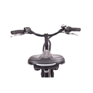 Rower elektryczny Bottecchia BE16 E-CITY MAN