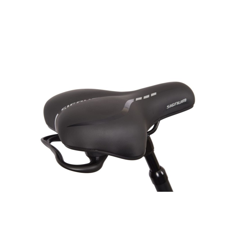 Rower elektryczny LOMBARDO TORINO Sport